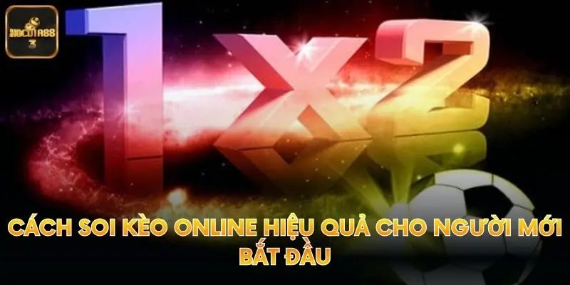Cách Soi Kèo Online Hiệu Quả Cho Người Mới Bắt Đầu
